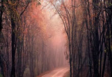 梅开二度，姆巴佩当选皇马vs莱加内斯全场最佳.