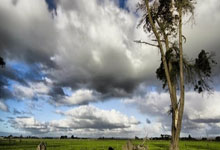 欧博abg官网：记者：红军有信心续约萨拉赫，在想如何奖励他但不鲁莽签长约.