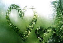 欧博abg官网：今晚将战美因茨，鲁尔：吉拉西今天并未随多特抵达球队酒店.