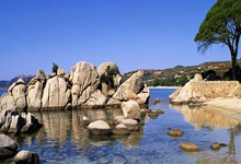 欧博abg官网：一步之遥，曼联19次国内杯赛夺冠仍领先利物浦1次.